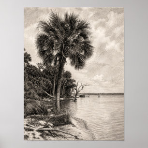 Póster Dibujo de la costa de la vieja Florida en grafito