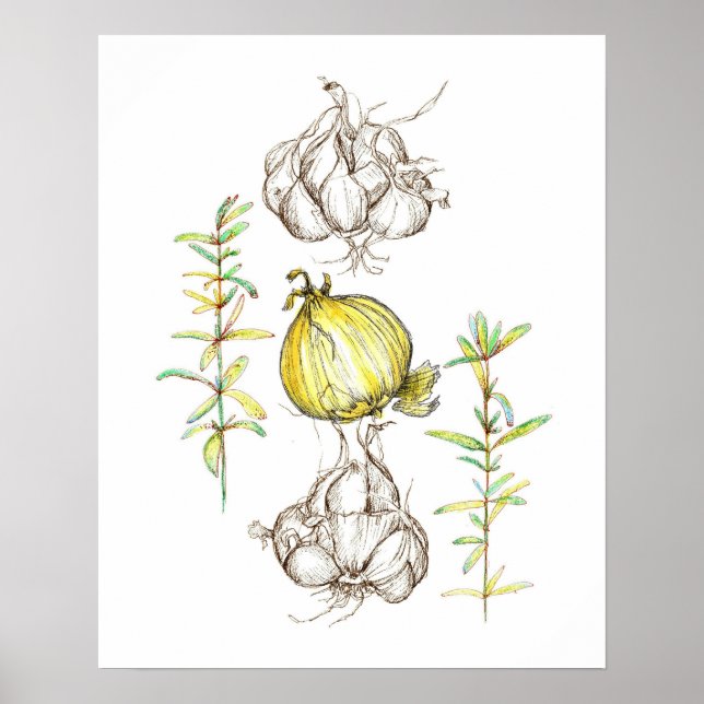 Póster Dibujo de la hierba del ajo de la cocina Art Onion (Frente)