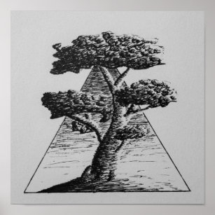 Pósters Dibujo Blanco Y Negro Del Árbol | Zazzle.es