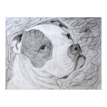 Dibujo de lápiz de dibujos de Mascota de Bulldog e