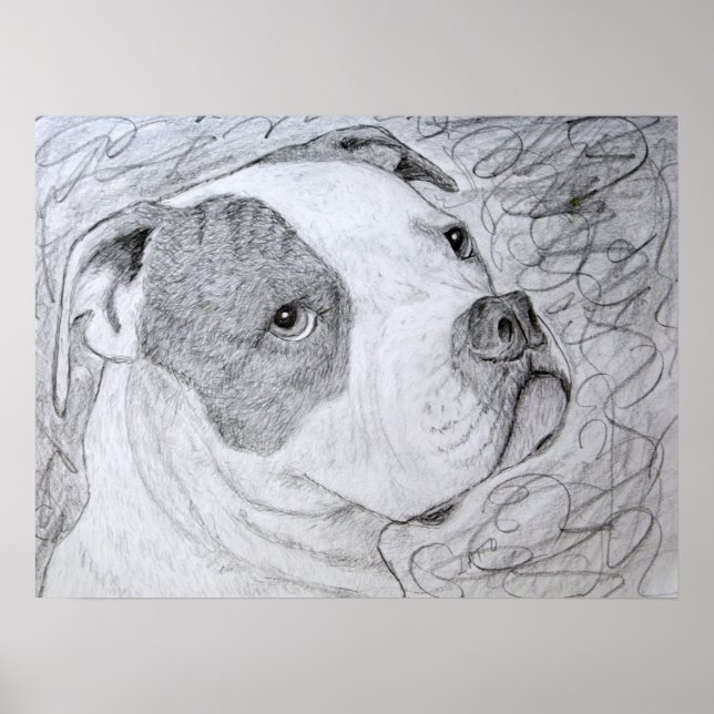 Póster Dibujo de lápiz de dibujos de Mascota de Bulldog e (Frente)
