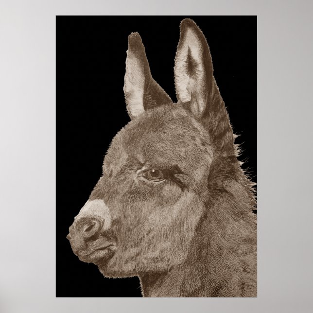 Póster dibujo de lápiz parecido a la vida de un burro lin (Frente)