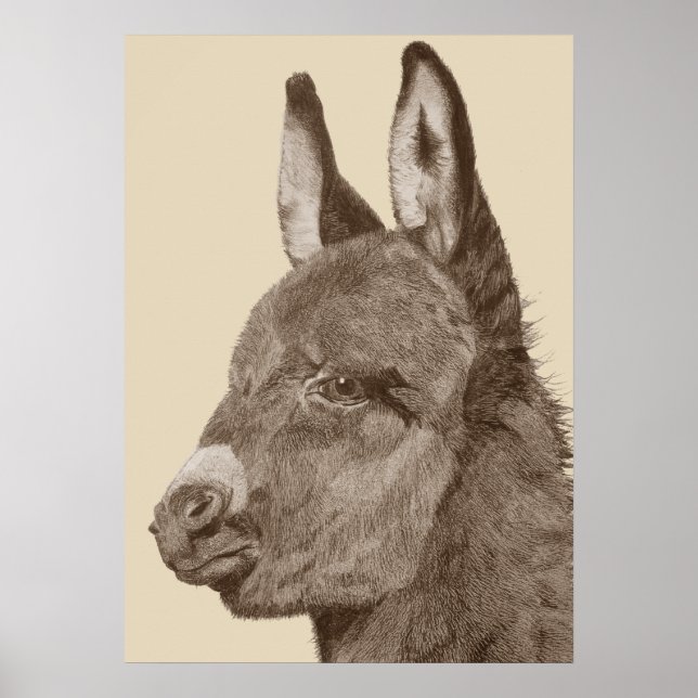 Póster dibujo de lápiz parecido a la vida de un burro lin (Frente)