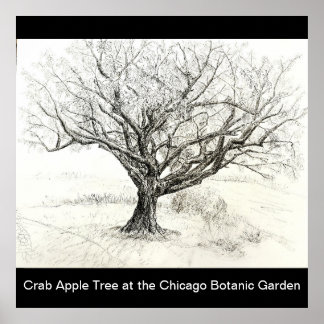 Póster Dibujo de lápiz y árbol de tinta