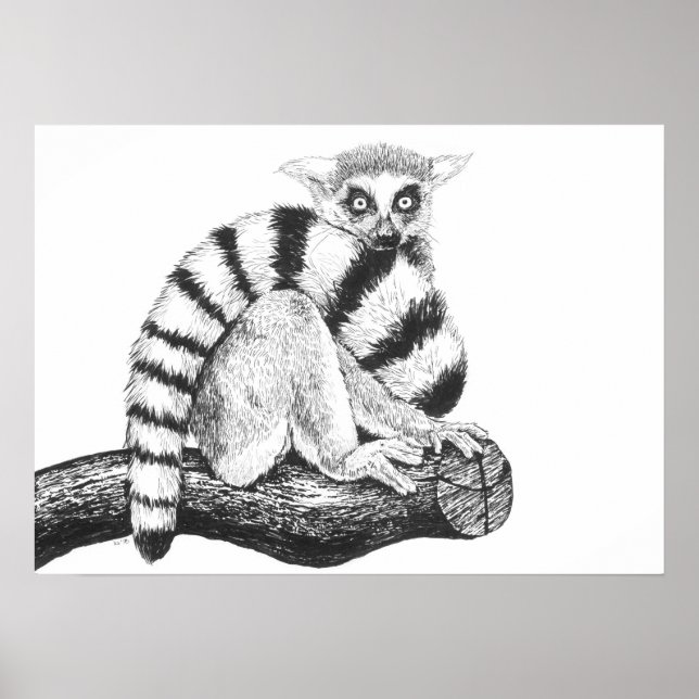 Póster Dibujo de Lemur (Frente)