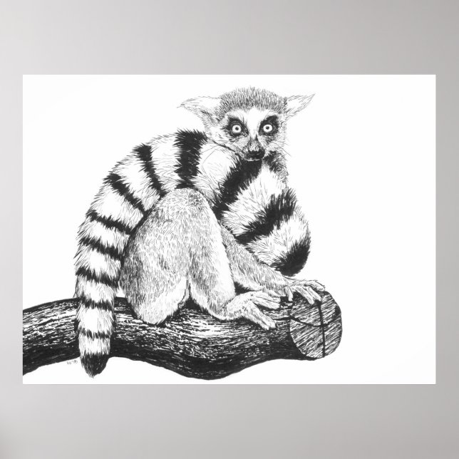 Póster Dibujo de lémur (Frente)