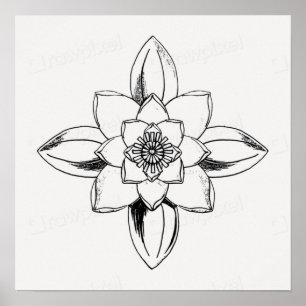 Póster Dibujo de línea en blanco y negro de flor de nenúf