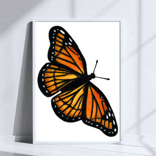 Póster Dibujo de Mariposa Monarca con Lápiz de Colores Ar
