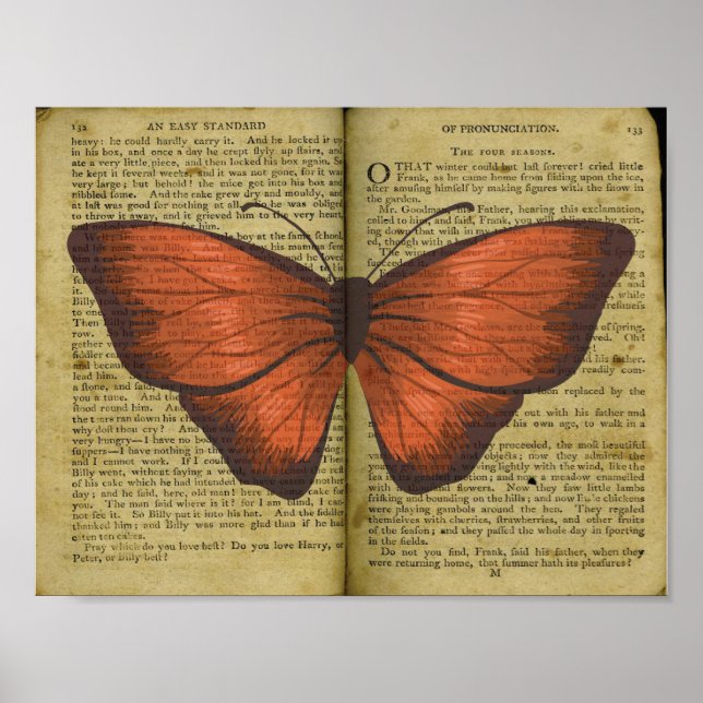 Póster Dibujo de mariposa naranja en la página del libro  (Frente)