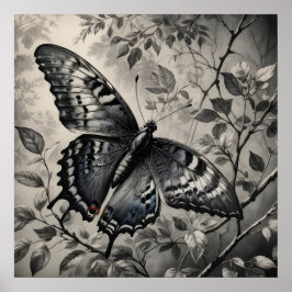 Póster Dibujo de mariposas en blanco y negro