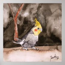 dibujo de pájaro de gallo