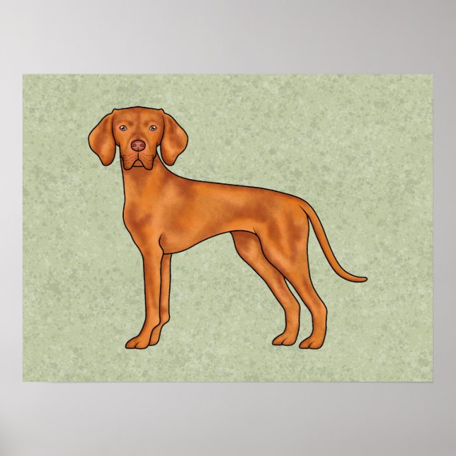 Póster Dibujo de perro Pointer lindo Vizsla húngaro Verde (Frente)