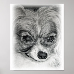 Póster Dibujo de Sara