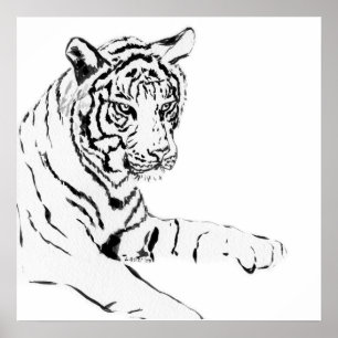 Póster Dibujo de tigre blanco y negro