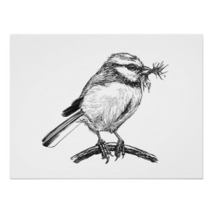 Póster Dibujo de tinta de ave azul