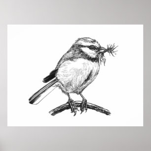 Póster Dibujo de tinta de ave azul