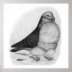 Póster Dibujo de tinta de búho chino