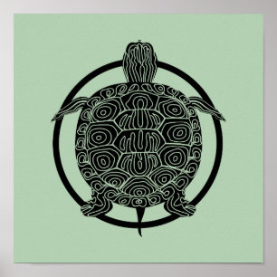 Póster Dibujo de tortugas - Serie Círculo de vida silvest