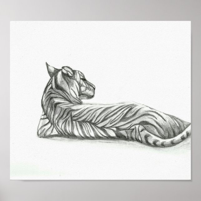 Póster Dibujo del tigre restante (Frente)