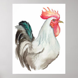 Póster Dibujo manual de acuarela de un gallo