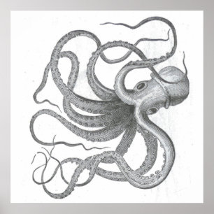 Póster Dibujo naumático de kraken vintage de pulpo de vap