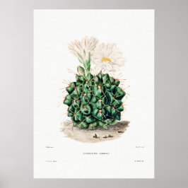 Póster Dibujo nopal de una planta de cactus