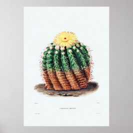 Póster Dibujo nopal de una planta de cactus