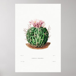 Póster Dibujo nopal de una planta de cactus