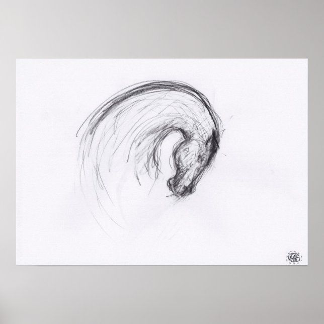 Póster Dibujo original 2 Poster de zodiaco de año de caba