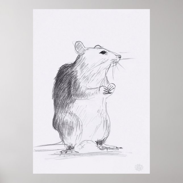 Póster Dibujo original de rata 24x36 Poster (Frente)