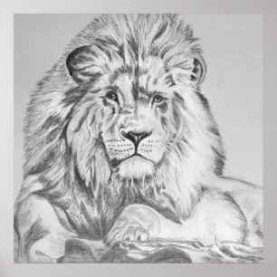 Póster Dibujo original del dibujo del lápiz de un león