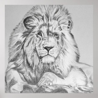 Póster Dibujo original del dibujo del lápiz de un león