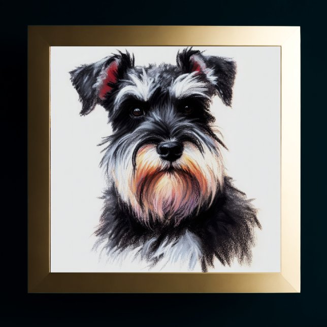 Póster Dibujo pastel de un perro Schnauzer II (Subido por el creador)