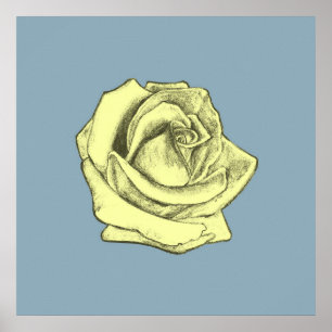 Póster Dibujo Rosa de tinte amarillo sobre azul