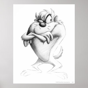 Póster Dibujo TAZ™