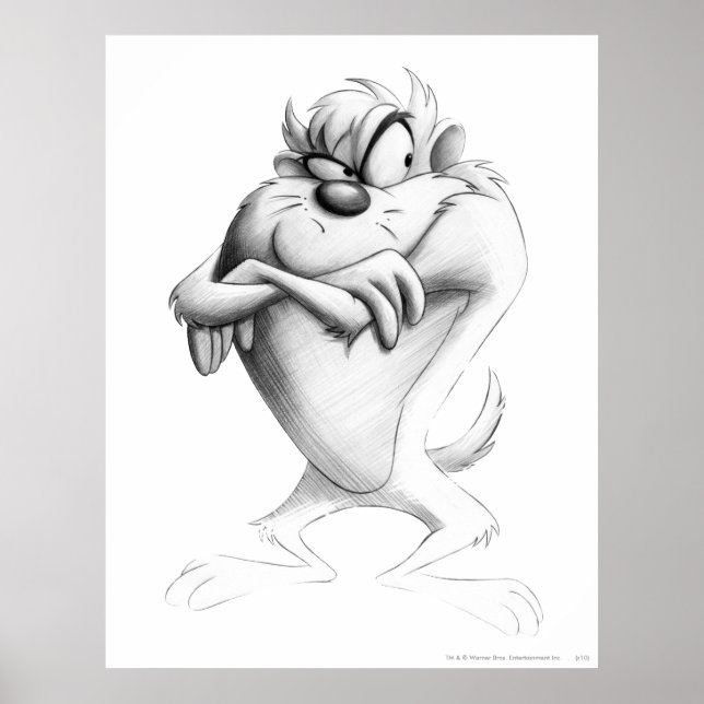 Póster Dibujo TAZ™ (Frente)