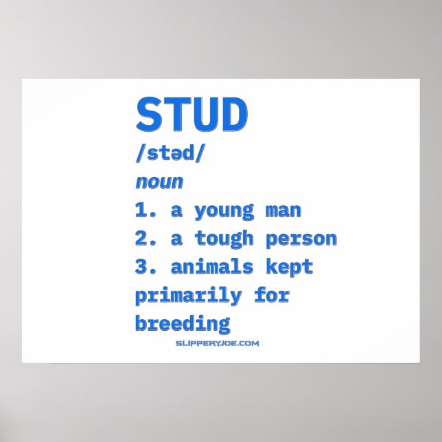 Póster Diccionario de animales de definición de stud de S (Frente)