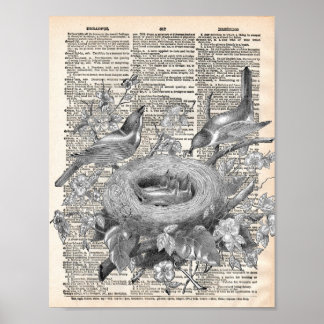 Póster Diccionario francés vintage con aves anidantes