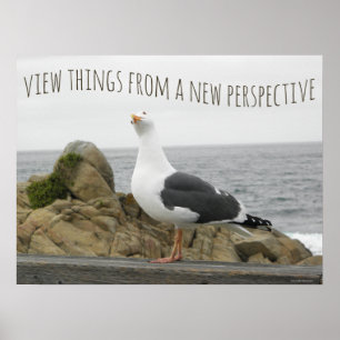 Póster Dicho de Ave Gaviota con Nueva Perspectiva Motivac