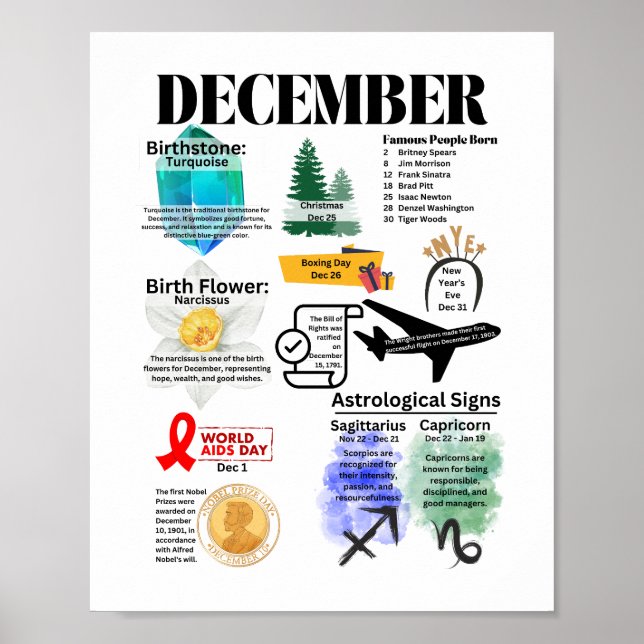 Póster Diciembre Fun Facts Poster (Frente)