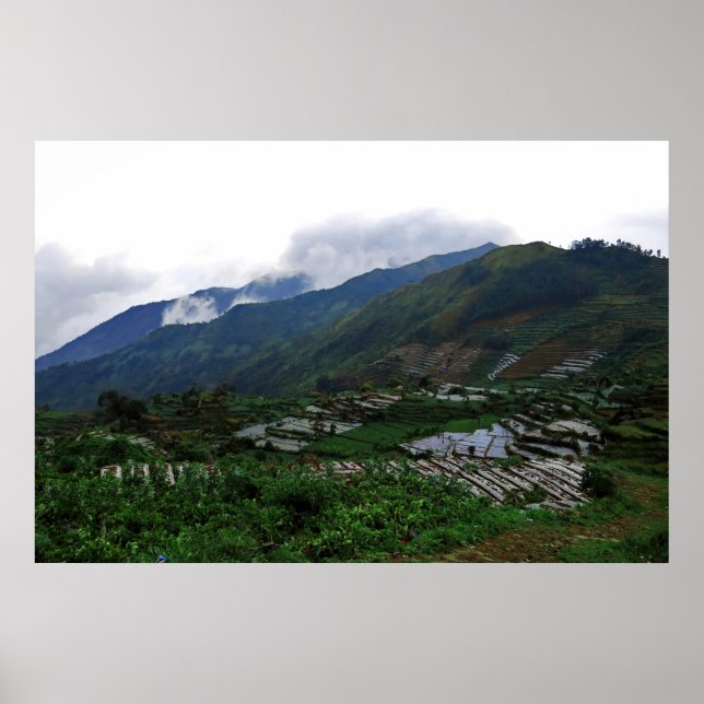 Póster Dieng Farms (Frente)