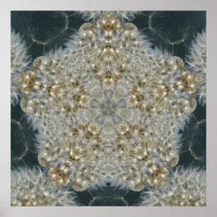 Póster Diente de león estrella noviembre de 2012