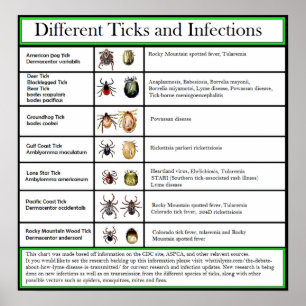 Póster Diferentes Ticks and Infections Chart