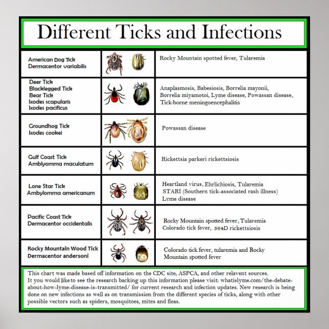 Póster Diferentes Ticks and Infections Chart (Frente)