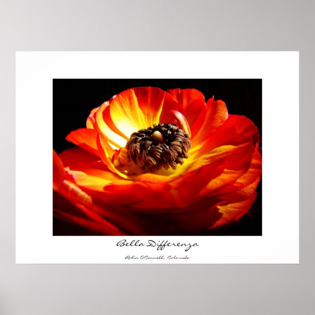 Póster Diferenza (con nombre) (Frente)