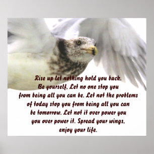 Póster Difundir tu Wings_Poster