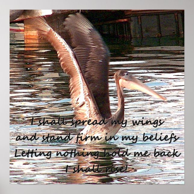 Póster Difundir tus alas. (Frente)