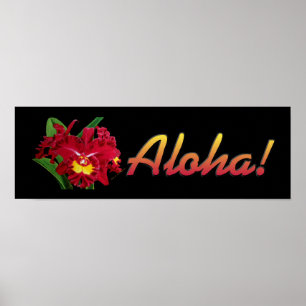 Póster ¡Dígalo con hawaiana! 3 (impresiones)