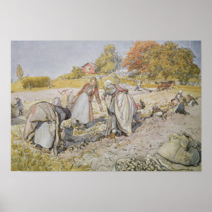 Póster Digging Potatoes, 1905