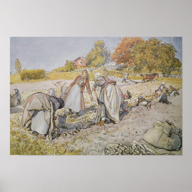 Póster Digging Potatoes, 1905 (Frente)